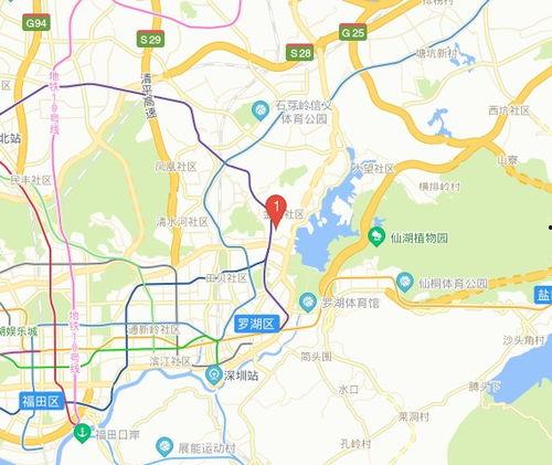 深圳罗湖东湖区最新爆料,揭秘东湖区发展新篇章